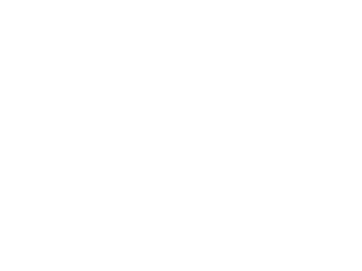 סטיקים